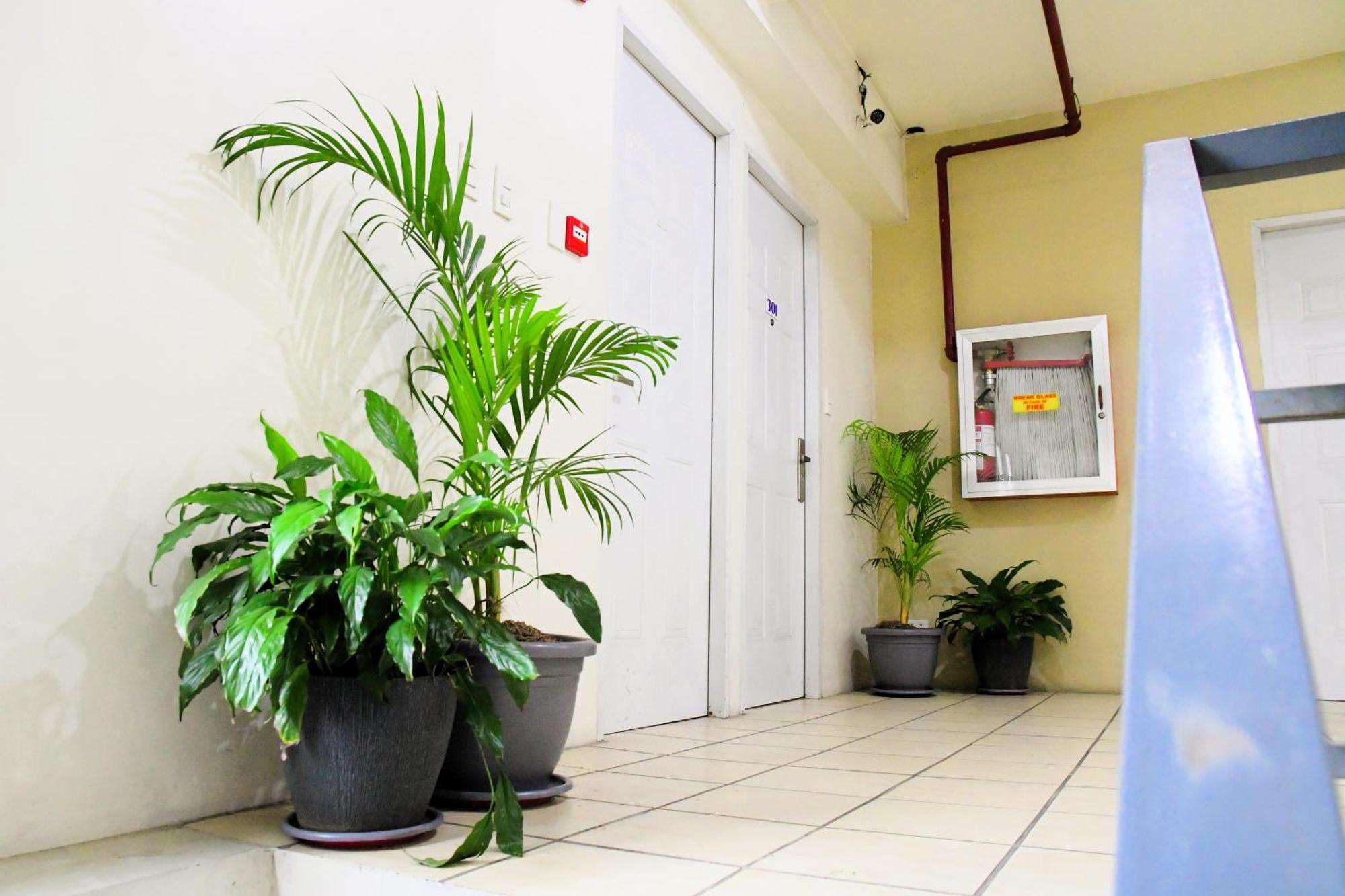 Arzo Hotel Makati Makati City Екстер'єр фото